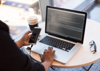 What Makes Flutter Ideal For the MVP Development Process