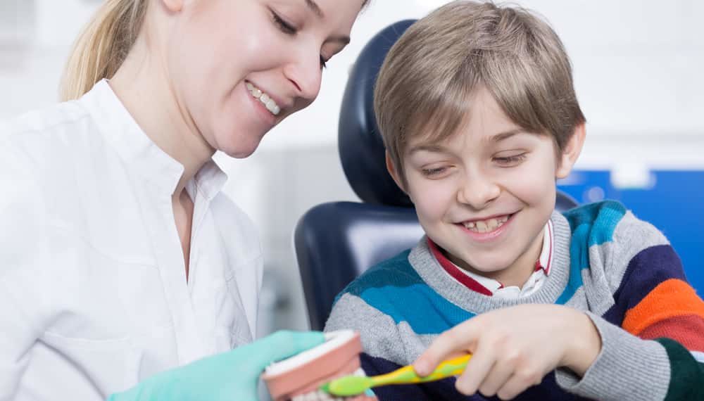 Paediatric Dentist