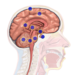 HOW MUCH DO YOU NEED TO INVEST FOR BRAIN TUMOUR SURGERY IN INDIA?