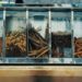How Should You Buy The Wholesale Herbs
