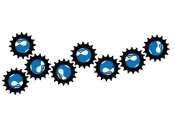 How to get current user information programatically in drupal 8?
