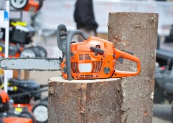 Pole Saw Buyer's Guide: How to Pick the Perfect Pole Saw