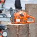 Pole Saw Buyer's Guide: How to Pick the Perfect Pole Saw