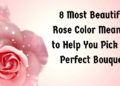 8 Most Beautiful Rose Color Meaning to Help You Pick the Perfect Bouquet