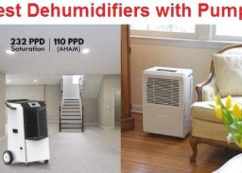 Best Dehumidifier For Basement With Pump