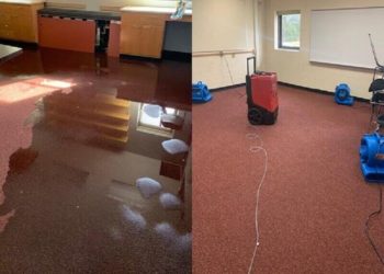 7 Essential Tips To Prevent Your House From Water Damage