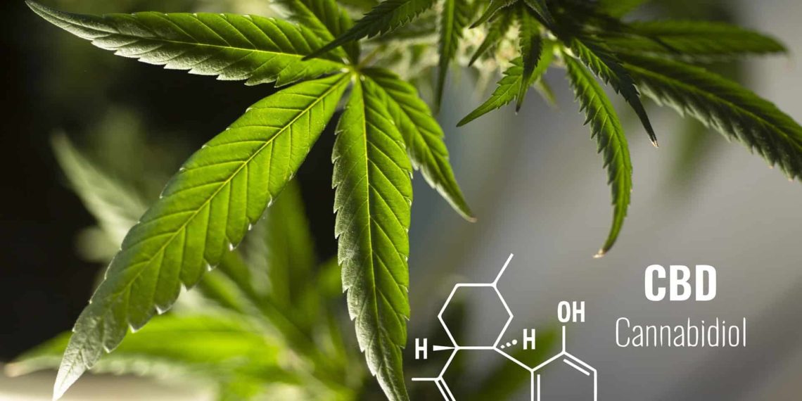 Top 5 benefits of CBD Oil and Hemp