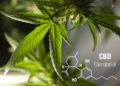 Top 5 benefits of CBD Oil and Hemp