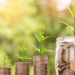 Top Reasons of Unsuccessful Forex Traders