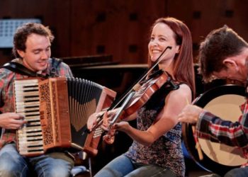 Pro Tips for Playing Irish Harp Like A Pro- Here's How