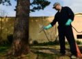 How to Choose A Good Pest Control Company & Questions to Ask?