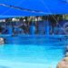 Swim with dolphins in Puerto Vallarta at Aquaventuras Park