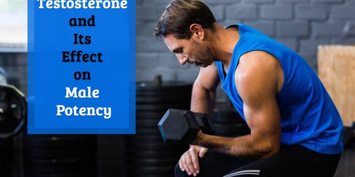 Testosterone and its effect on male potency