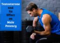 Testosterone and its effect on male potency
