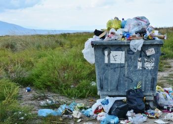 The Biggest Trends in Waste Removal we’ve seen this year