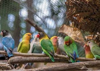 Yaaman Adventure Park in Ocho Rios, Jamaica
