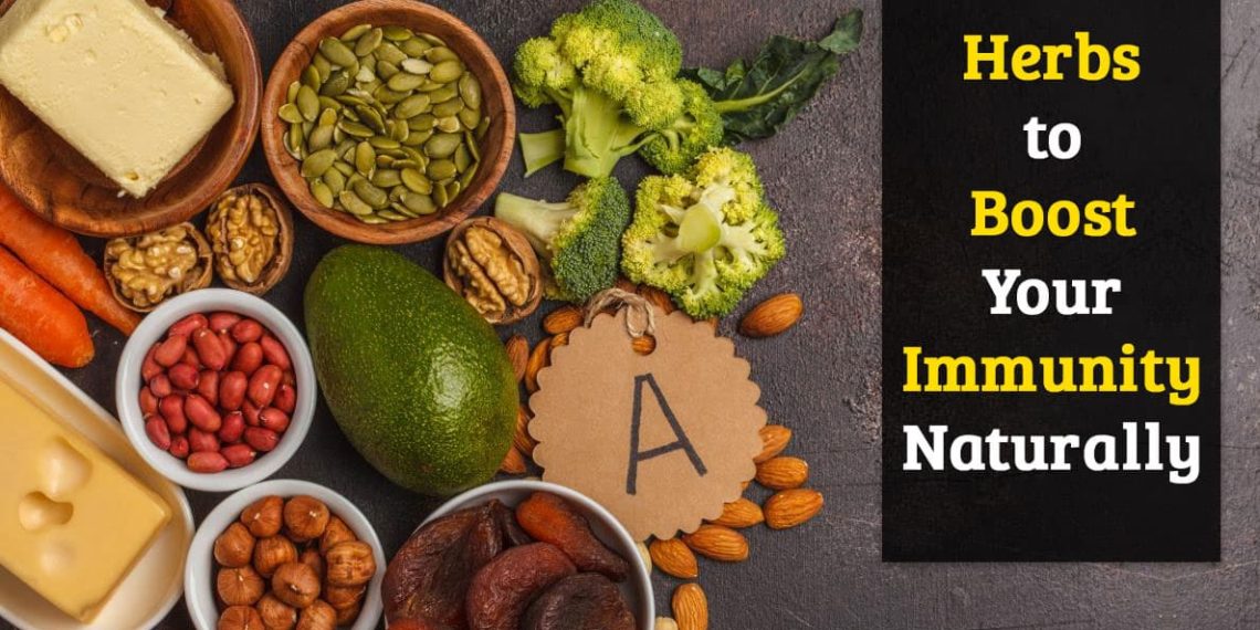 Enchanting Ayurvedic savors and herbs can increase your immunity