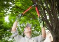 Check Out The Top Benefits Of Tree Lopping