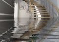Some of the Top Tips for Choosing a Water Damage Restoration Company