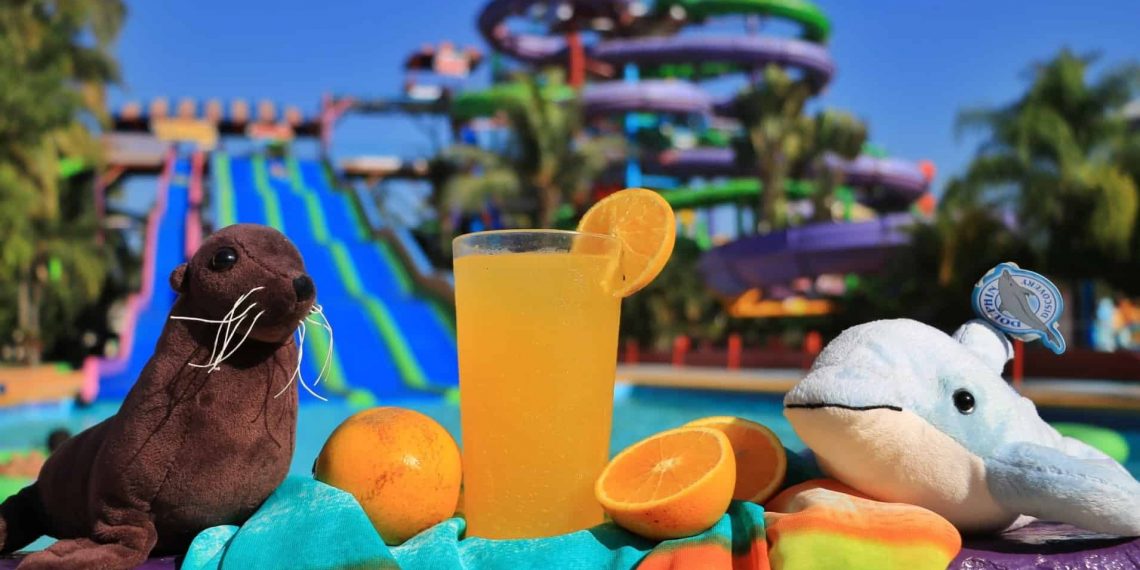 Our water park and swim with dolphins in Puerto Vallarta, Mexico