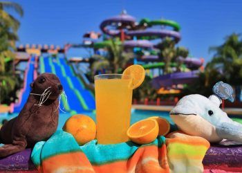 Our water park and swim with dolphins in Puerto Vallarta, Mexico