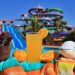 Our water park and swim with dolphins in Puerto Vallarta, Mexico