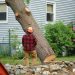 tree-removal