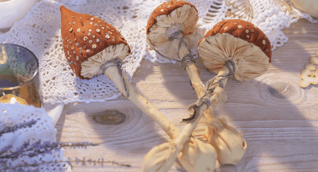 10 Mind-Boggling Facts About Magic Mushrooms