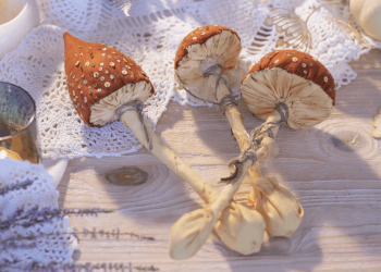 10 Mind-Boggling Facts About Magic Mushrooms