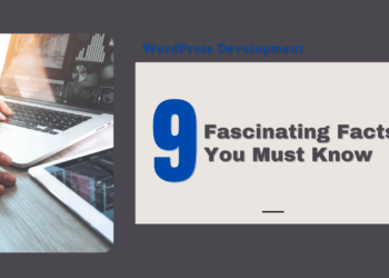 WordPress Development – Nine Fascinating Facts You Must Know