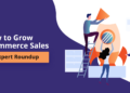 How-to-Grow-Ecommerce-Sales