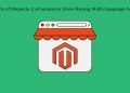 Benefits of Magento 2 eCommerce Store Having Multi-Language Setup