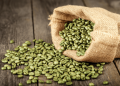 When To Consume Green Coffee Beans