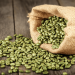 When To Consume Green Coffee Beans