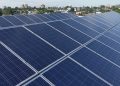 5 Simple Tips for Reducing Your Carbon Footprint