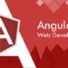 angualr js-20d643c1