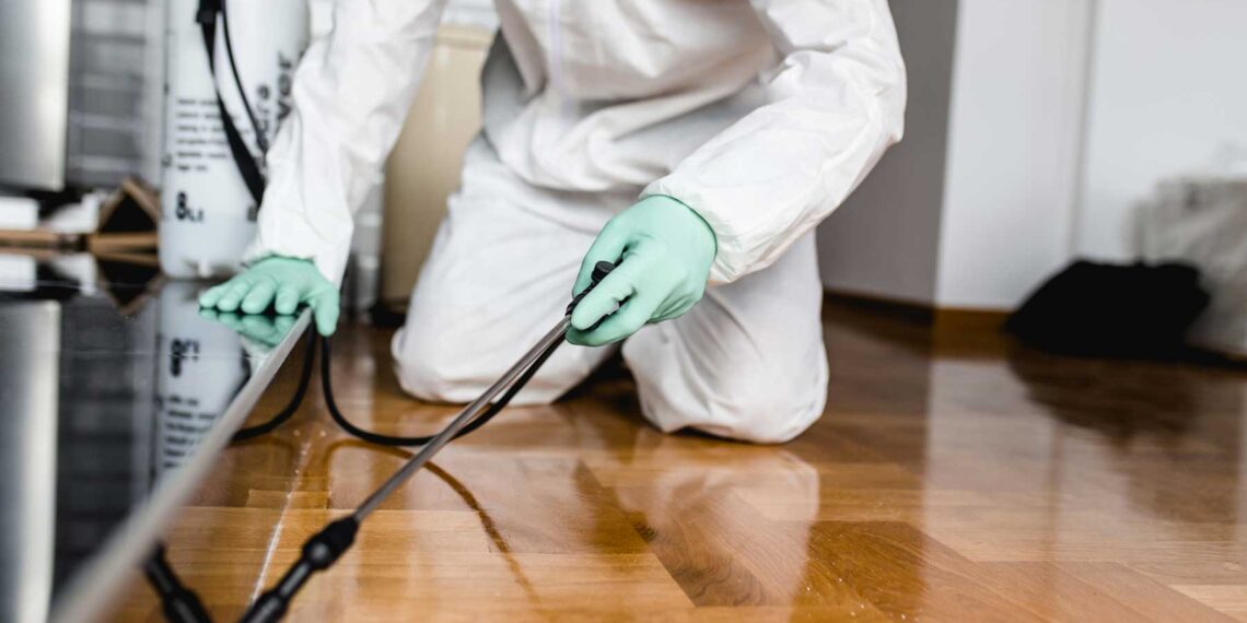 average-pest-control-cost-1-5d9e6008