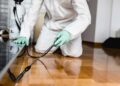 average-pest-control-cost-1-5d9e6008
