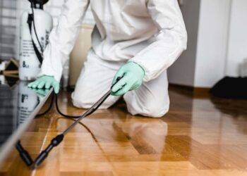 average-pest-control-cost-1-5d9e6008