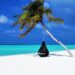 Popular Travel Trends You Should Try in 2021