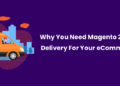 Why You Need A Magento 2 Estimated Delivery Date Extension for your eCommerce Store-9d6547d7