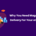 Why You Need A Magento 2 Estimated Delivery Date Extension for your eCommerce Store-9d6547d7