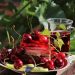 How to Stick to Your Diet on Holiday
