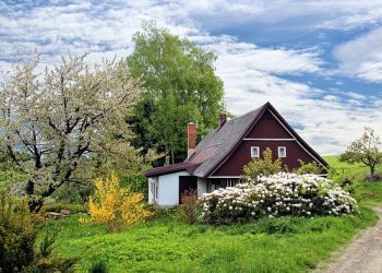 Eco Friendly Home Improvements to Try Today