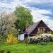 Eco Friendly Home Improvements to Try Today