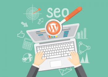 wordpress-seo-655d89b1