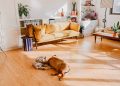 What Is The Difference Between Vinyl Plank And Laminate?