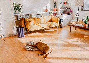 What Is The Difference Between Vinyl Plank And Laminate?