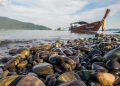 Spectacular Fishing Trips for Anglers and the General Public
