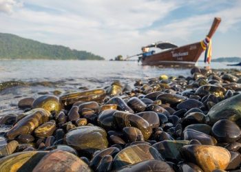Spectacular Fishing Trips for Anglers and the General Public
